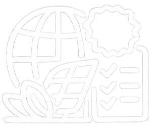 SYSTEMY ZARZĄDZANIA ISO